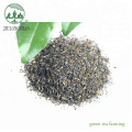 Organic china vietnam green tea 1kg price flecha quality green tea